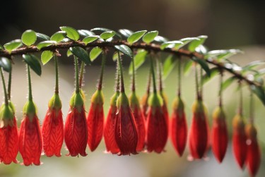 佛山三水区私人快速借钱网，轻松解决资金难题