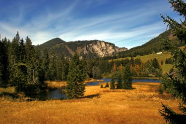 佛山三水区民间私贷攻略：揭秘低成本借贷的秘密