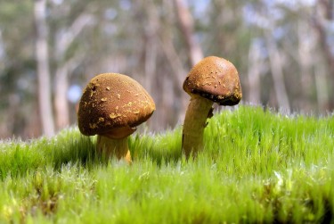 佛山三水区私人老板放款：轻松融资的秘密通道